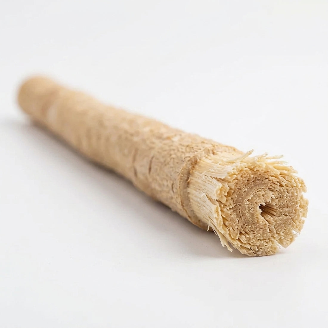 Natural miswak stick from the arak tree with frayed bristle end