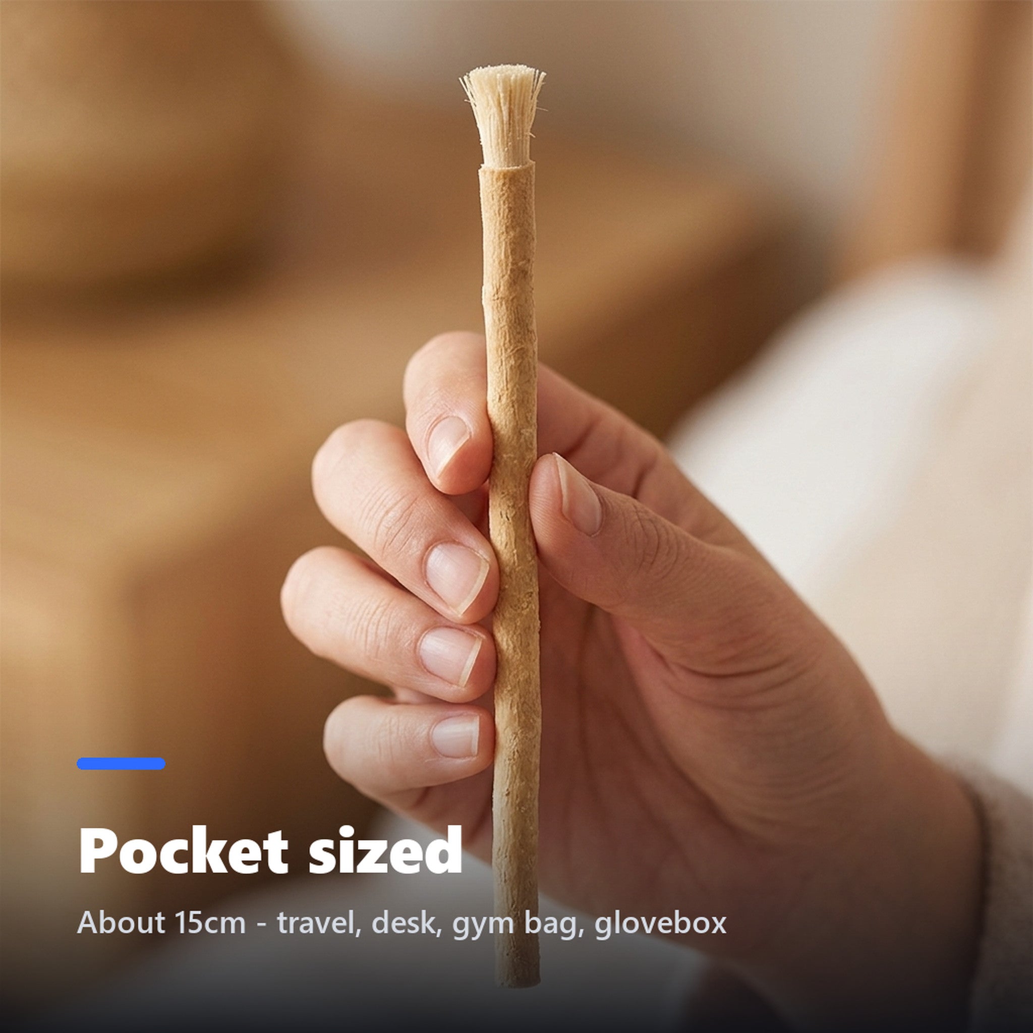 Miswak stick held in a hand to show its size